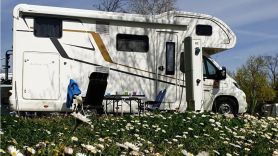 Motorhomes welcome at Camping de la Plage - La Trinite sur mer