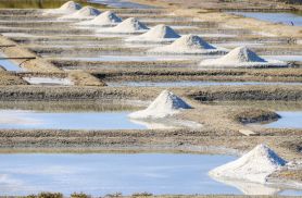 salt marshes © loic kersuzan - morbihan tourisme