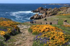 houat hiking © marc schaffner - morbihan tourisme