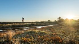 marais rando © Emmanuel Berthier - CRTB