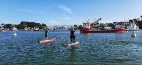 © Runo - paddles - la trinite sur mer