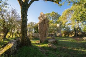 Mu00e9galiths Erdeven u00a9 thibault poriel - OTI baie de quiberon tourisme