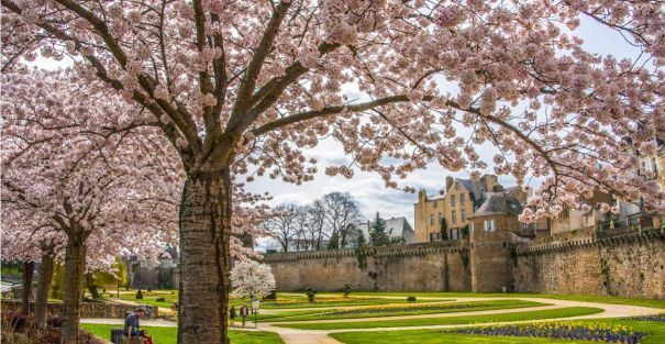 Vannes u00a9 loic kersuzan - morbihan tourisme