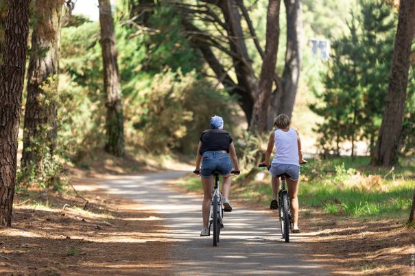 simon bourcier - oti baie de quiberon tourisme