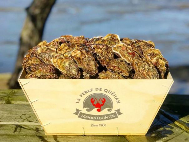 Osters Perle de Quehan © Maison Quintin