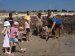 Rockpool fishing with the children's club at Camping de La Plage